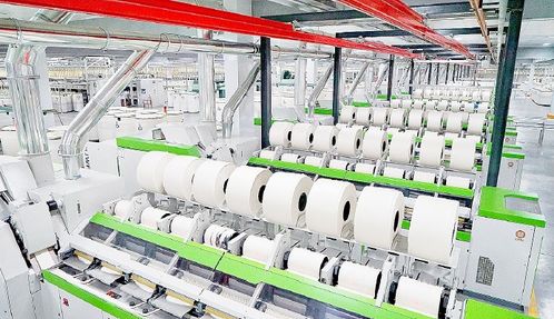 新质生产力赋能 滨州纺织业向 新 而生逐 质 而行