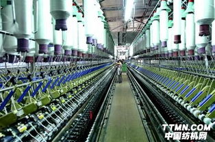 中央新疆办调研组到和田地区调研纺织服装产业发展